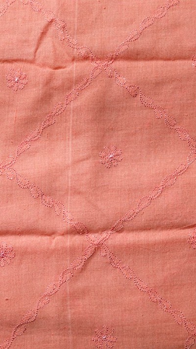 Peach Hued Chikankari Stole