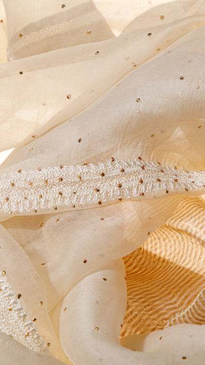 Antique White Organza Chikankari Dupatta