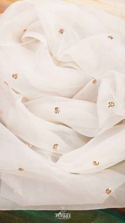 Golden Trellis Mukaish Pinecone Jugnu Organza Dupatta